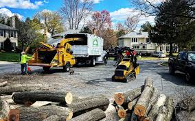 Best Arborist Consultation Services  in Manchester, OH