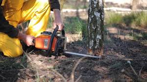 Manchester, OH Tree Care Company